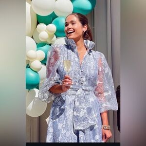 Sue Sartor blue & white silk organza dress - worn once. One size fits all.